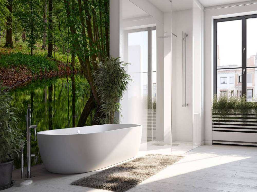 Buede Traer ved vannet