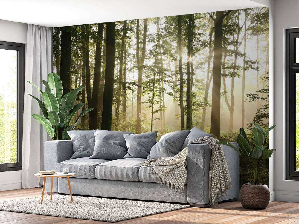 Dimmig lövskog