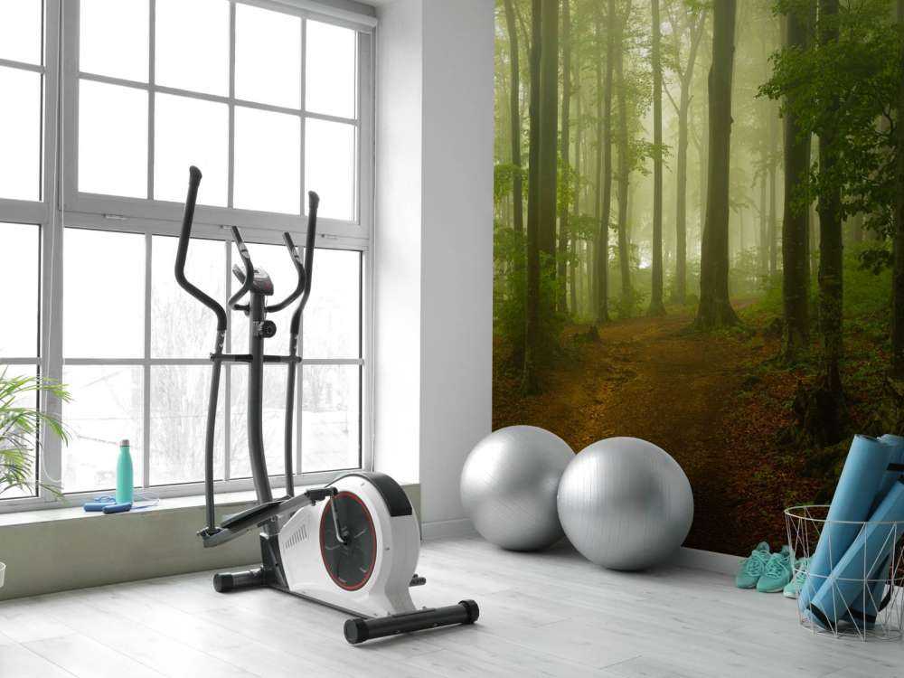 Bana genom dimmig grön skog