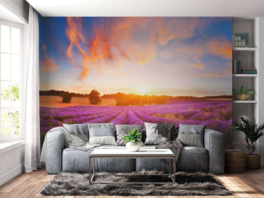 Vackert lavendel fält