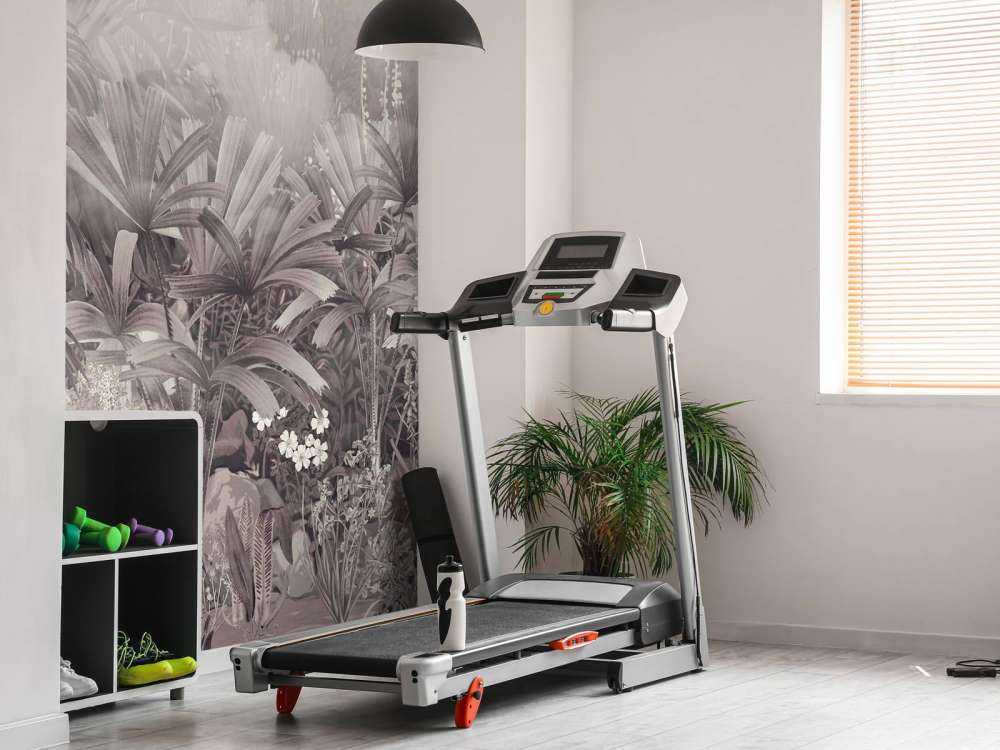 Morgon i den tropiska trädgården Lila