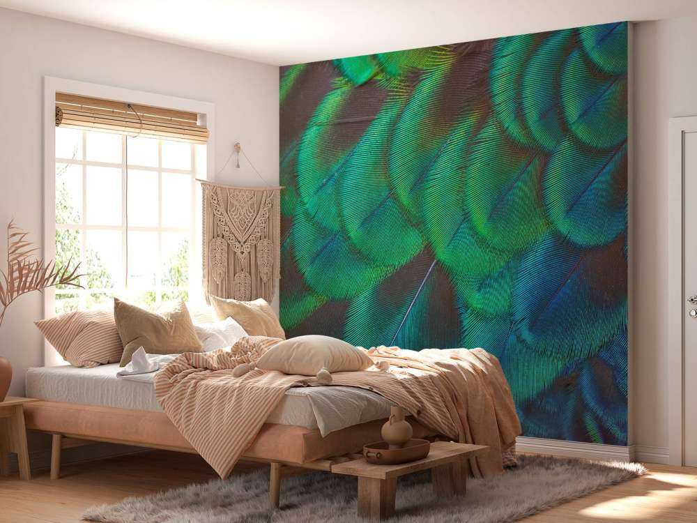 Närbild av påfågelfjädrar