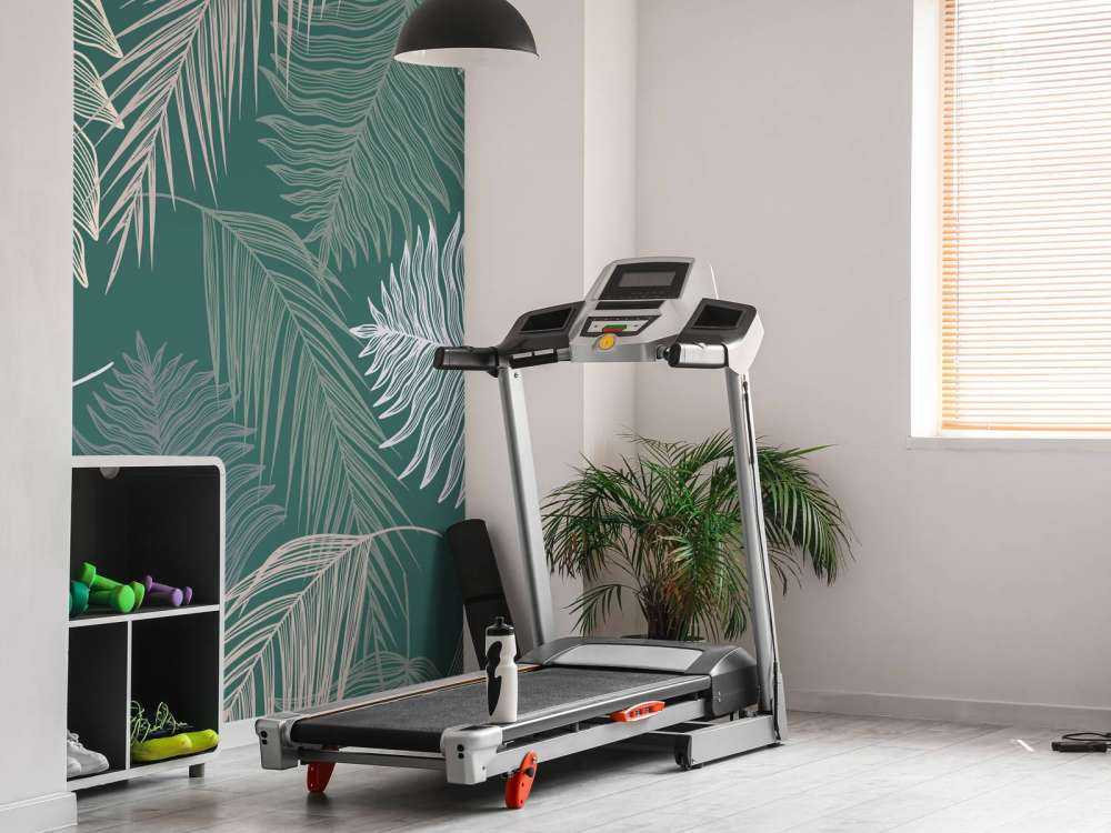 Palmblad på grön bakgrund