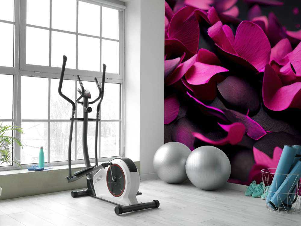 Mörkrosa hortensior