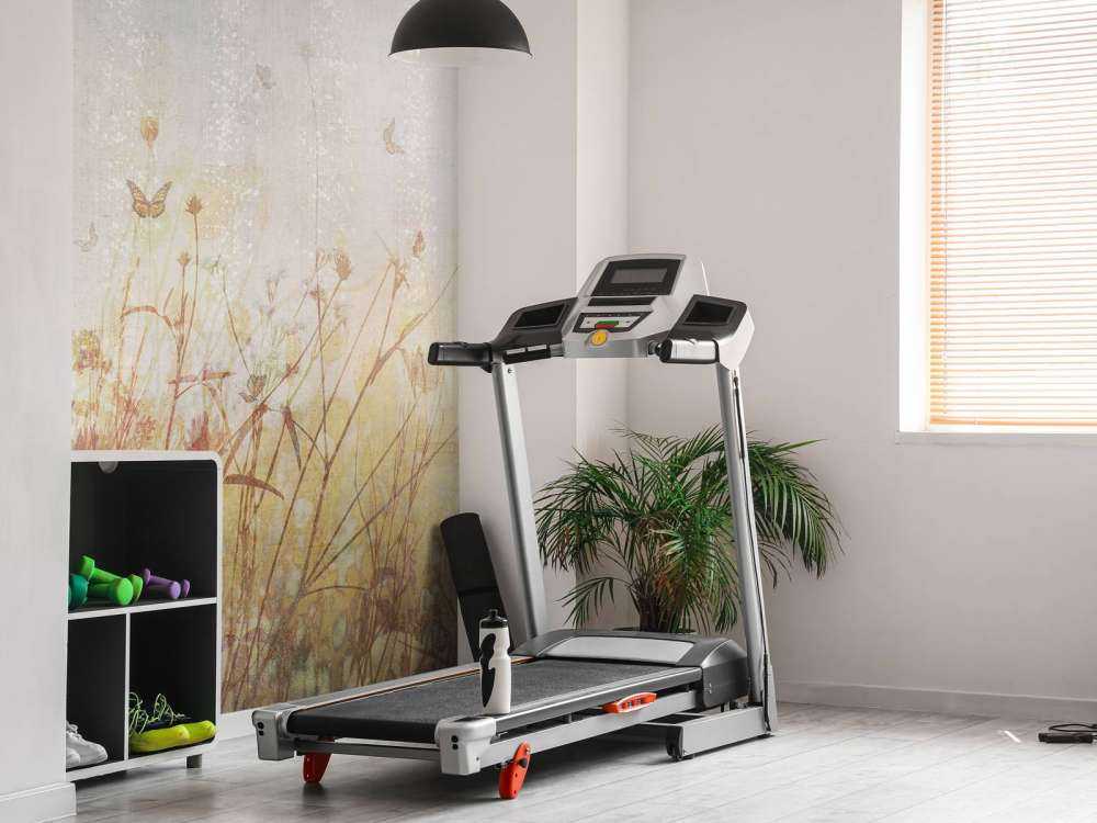 Fjärilar och blommor