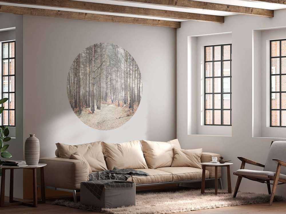 Sandväg genom skogen