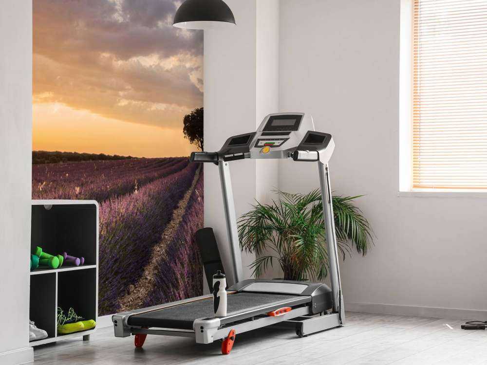 Destination lavender