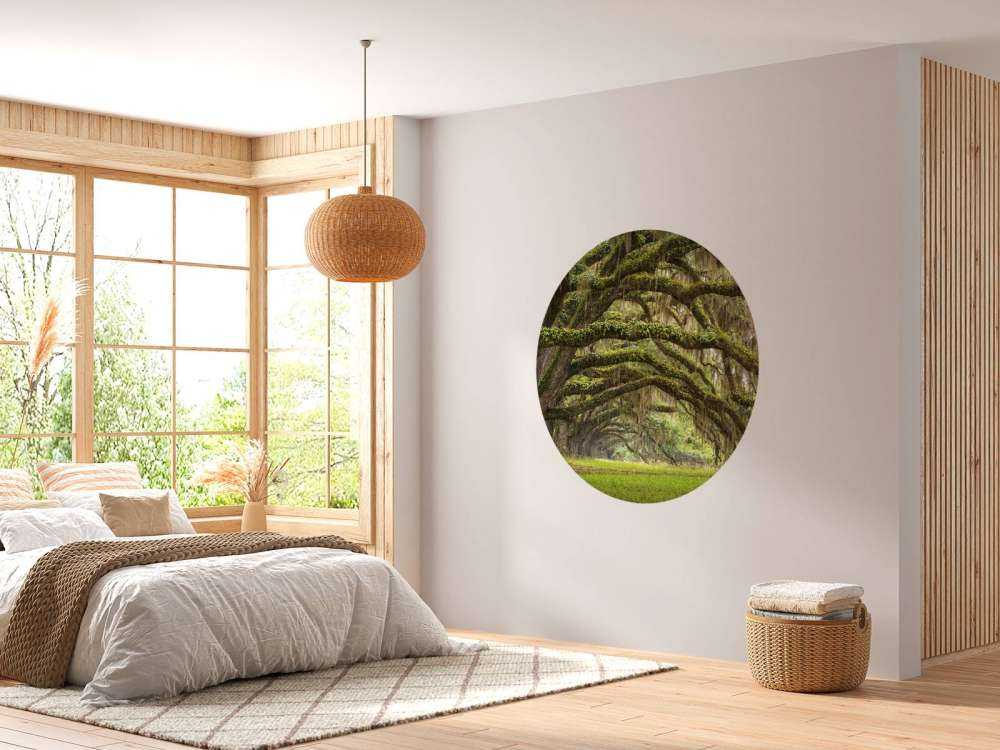 Särskild skog