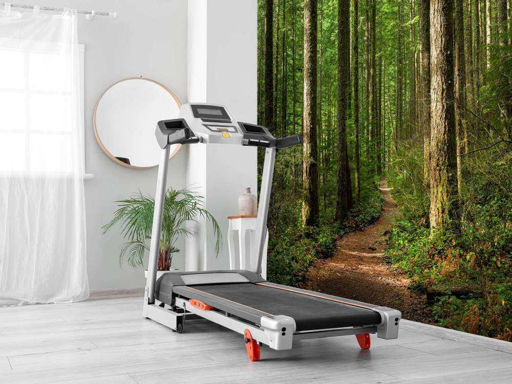Stigen i skogen