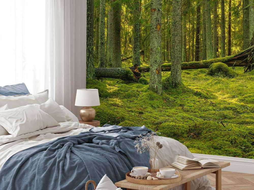 Grön tallskog