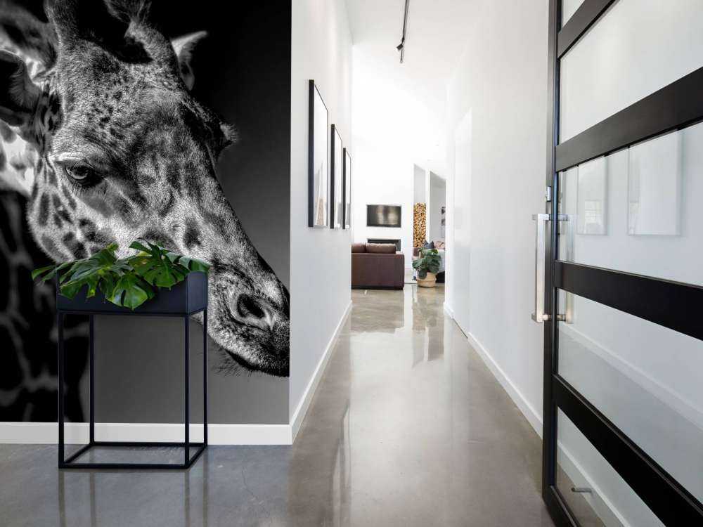 Giraffe