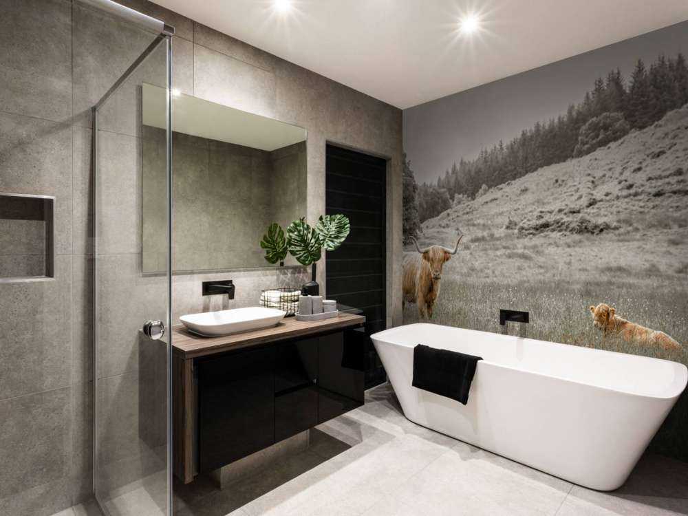 Skotsk highlander med kalv