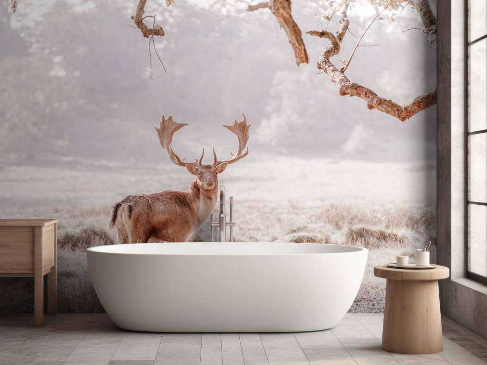 Rådjur på ett fält