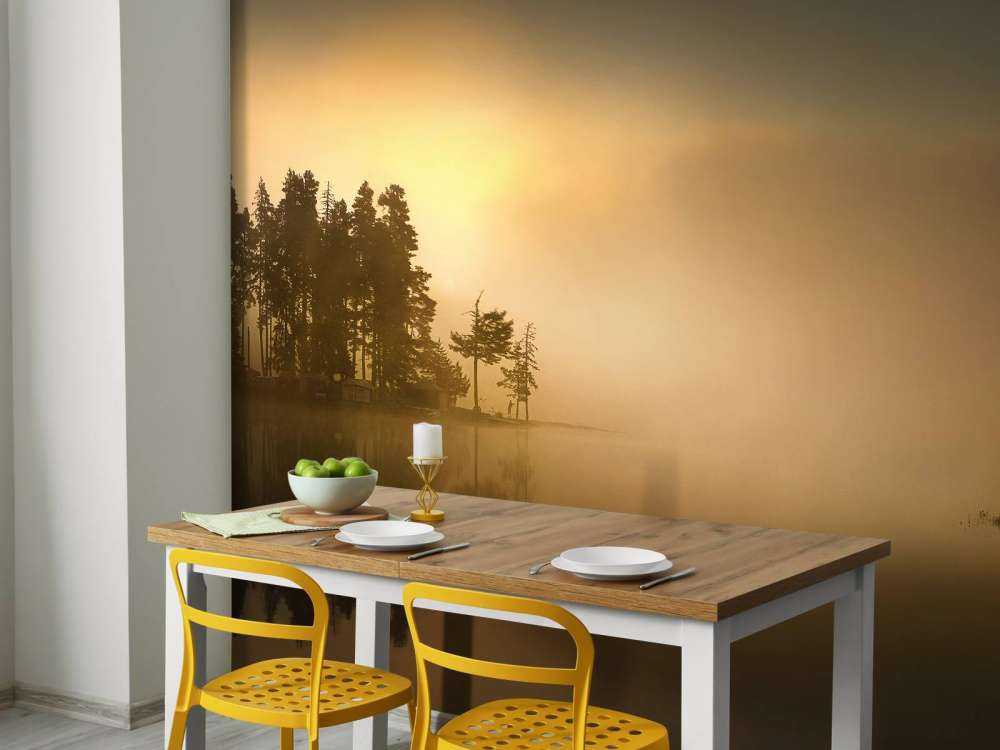 Island in the fog