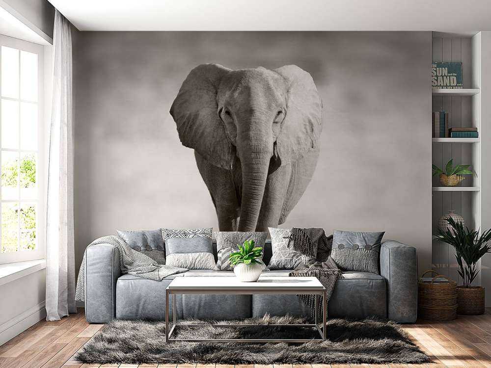 Vacker elefant