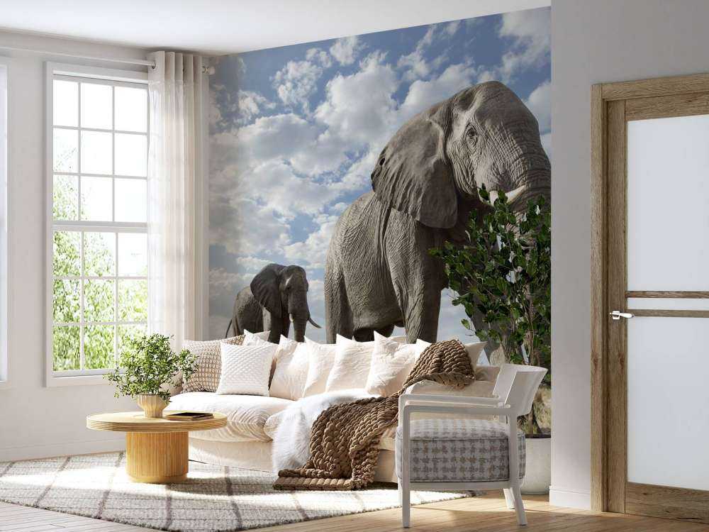 Passande elefanter