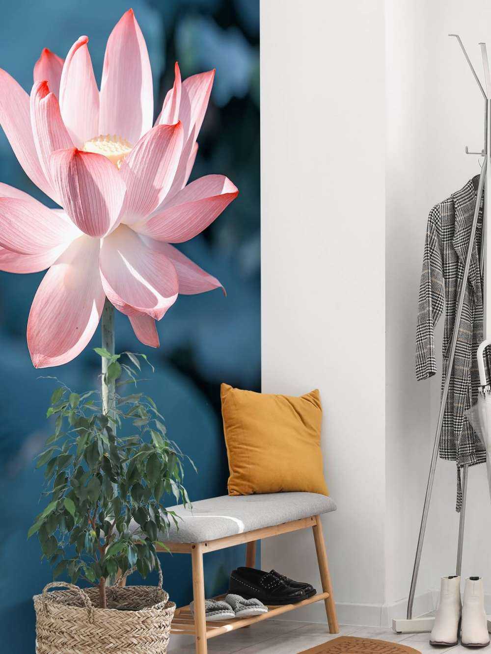 Lotusblomma ljusrosa