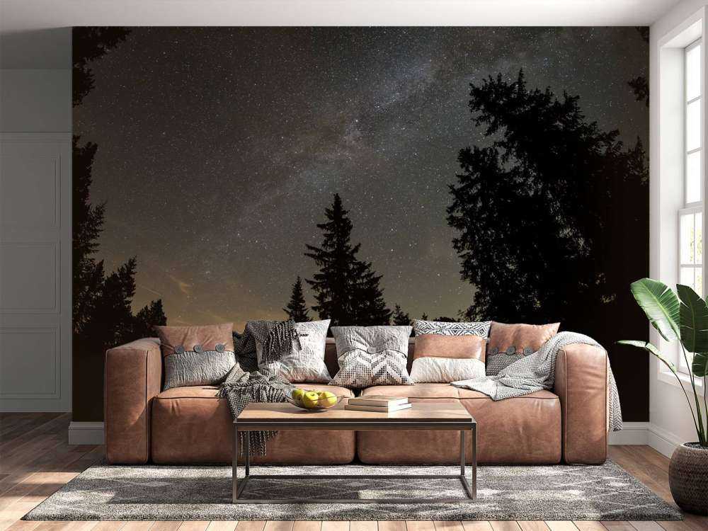 Himmel full av stjärnor