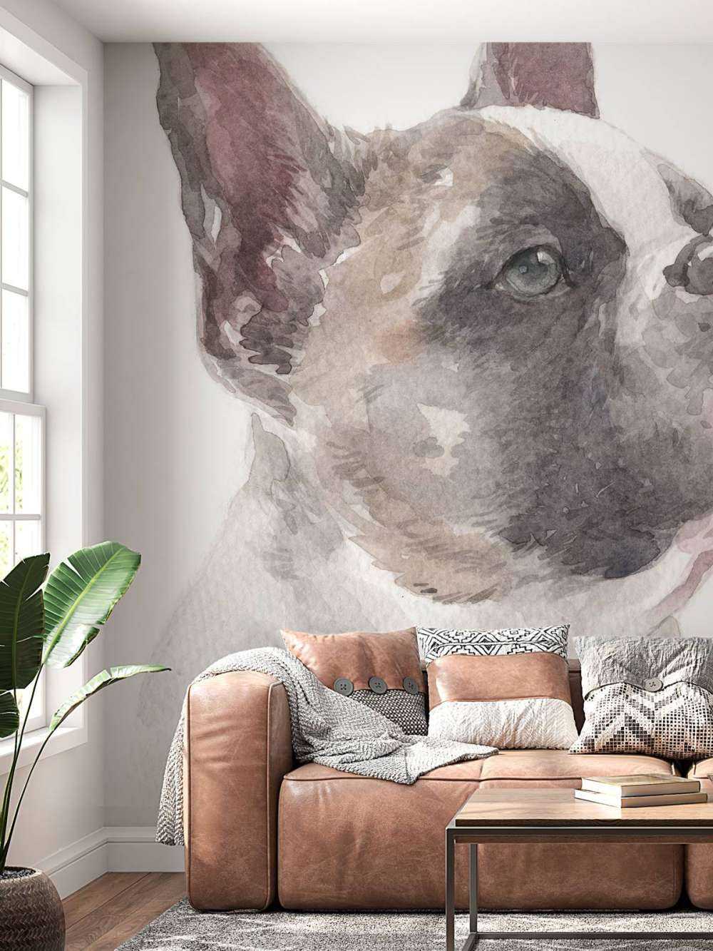 Akvarell fransk bulldog