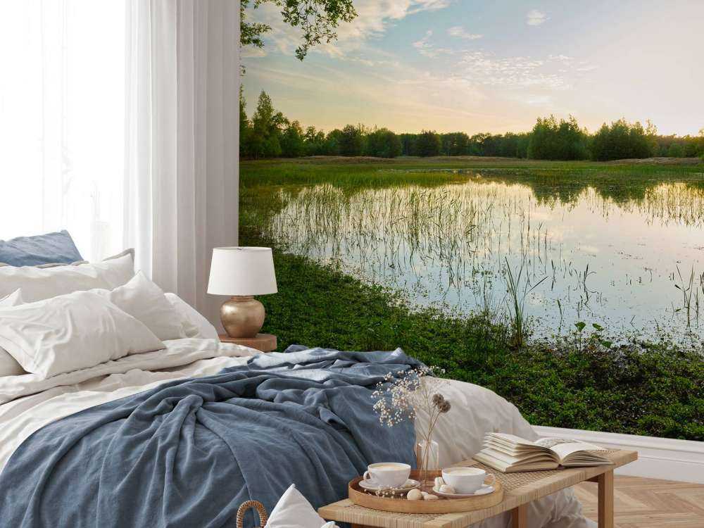 Solnedgång vid skog