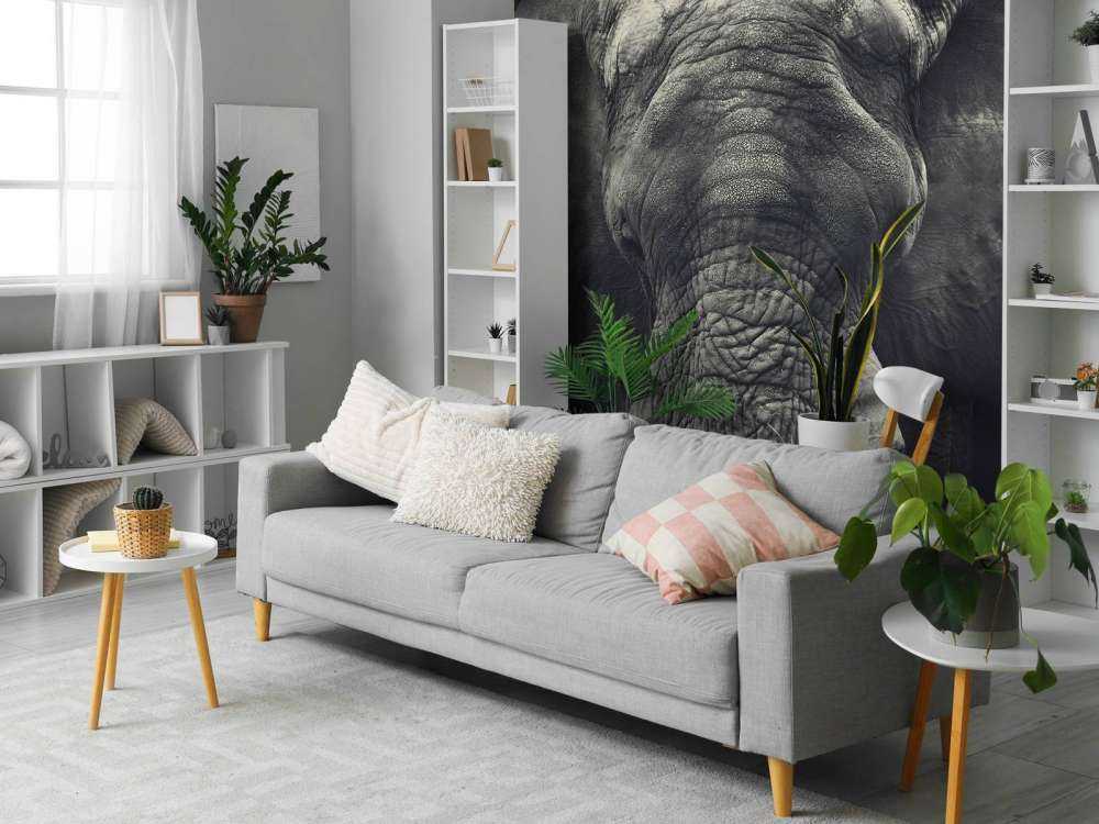 Närbild av en elefant