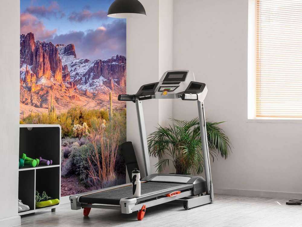 Kaktus i ett berglandskap