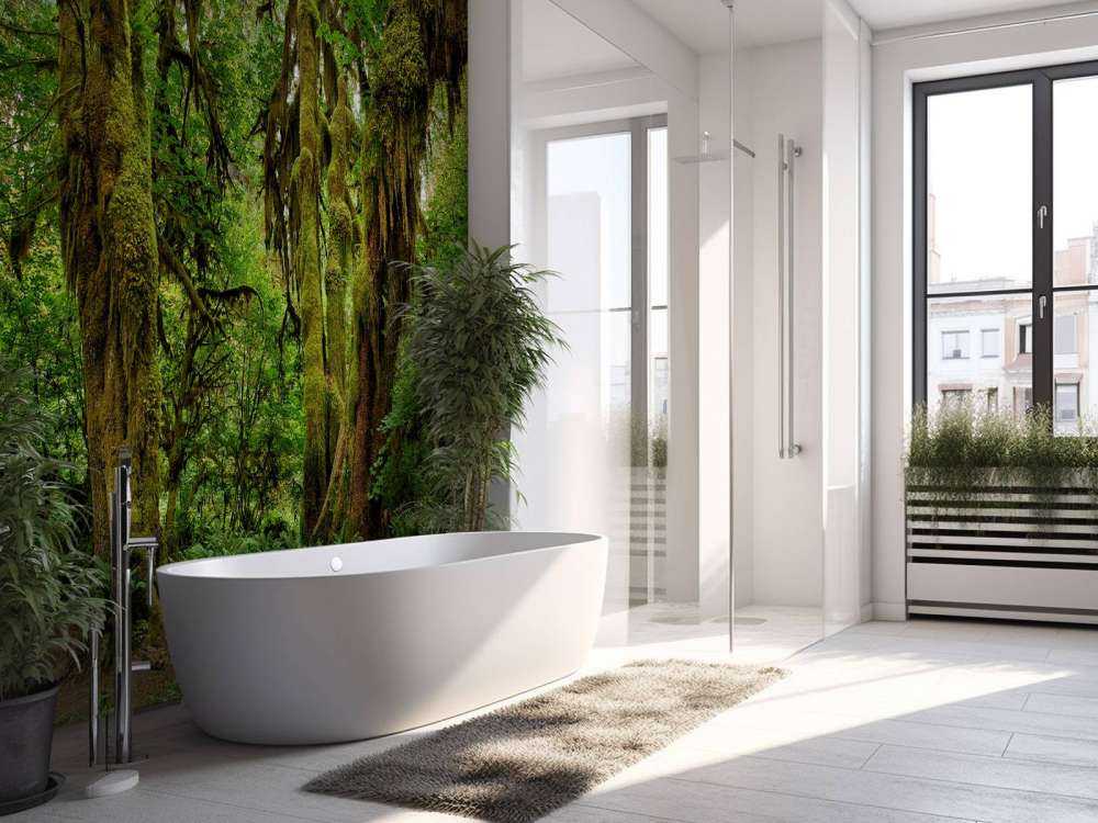 Gammal vildmarksskog