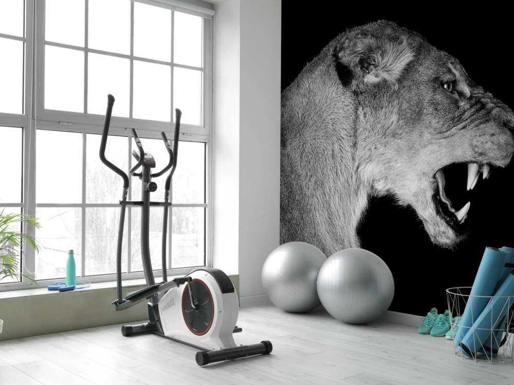 Lejoninnans sidovy svart