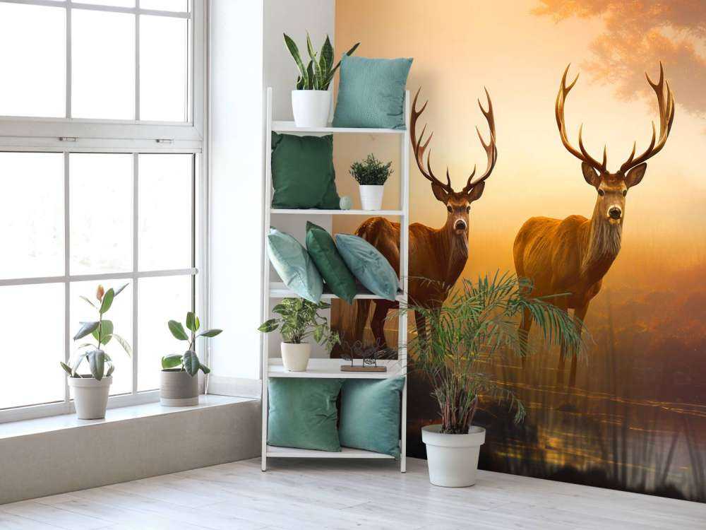 Morgonhärlighet Hjortprakt