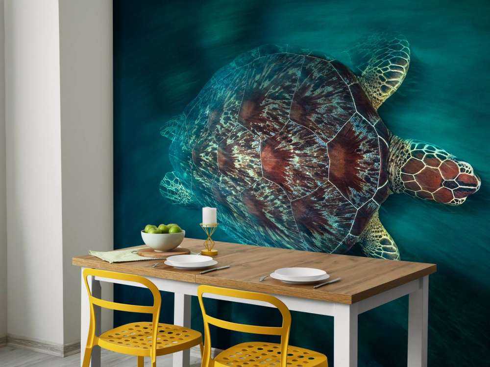 Vaclocity Turtle