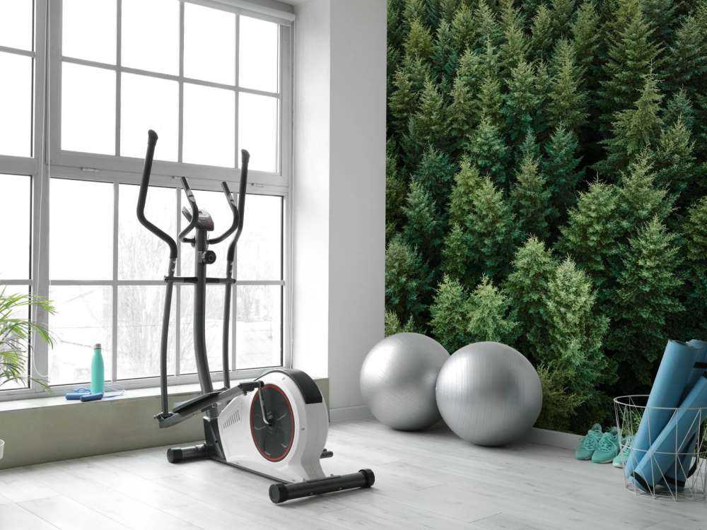 Douglasgran fra oven