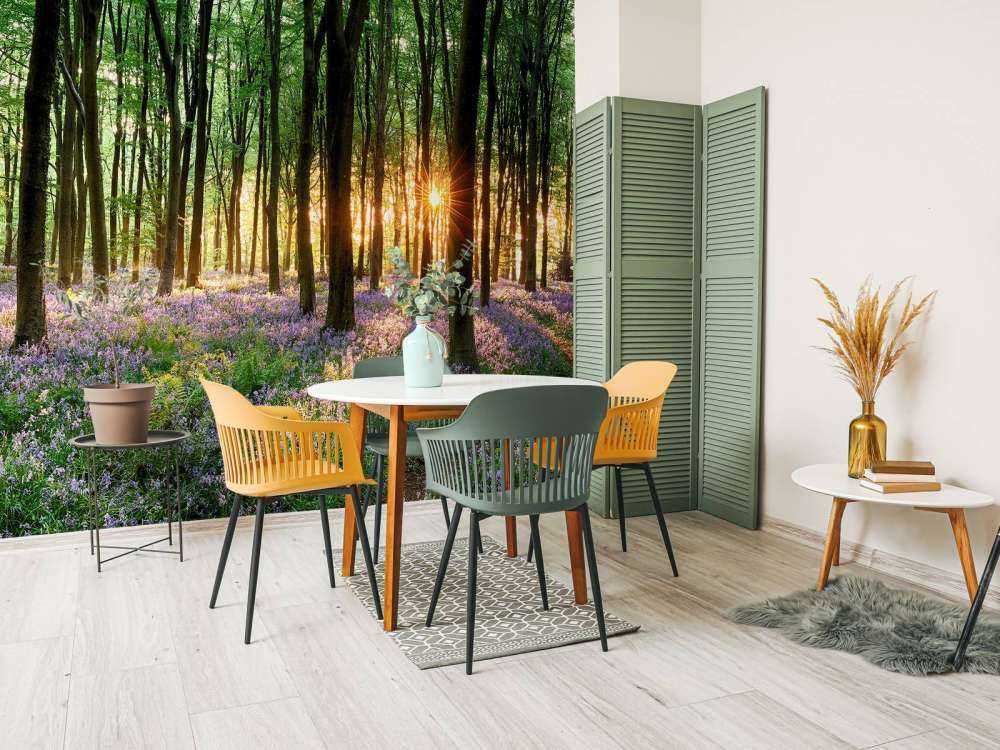 Skovsti ved solopgang