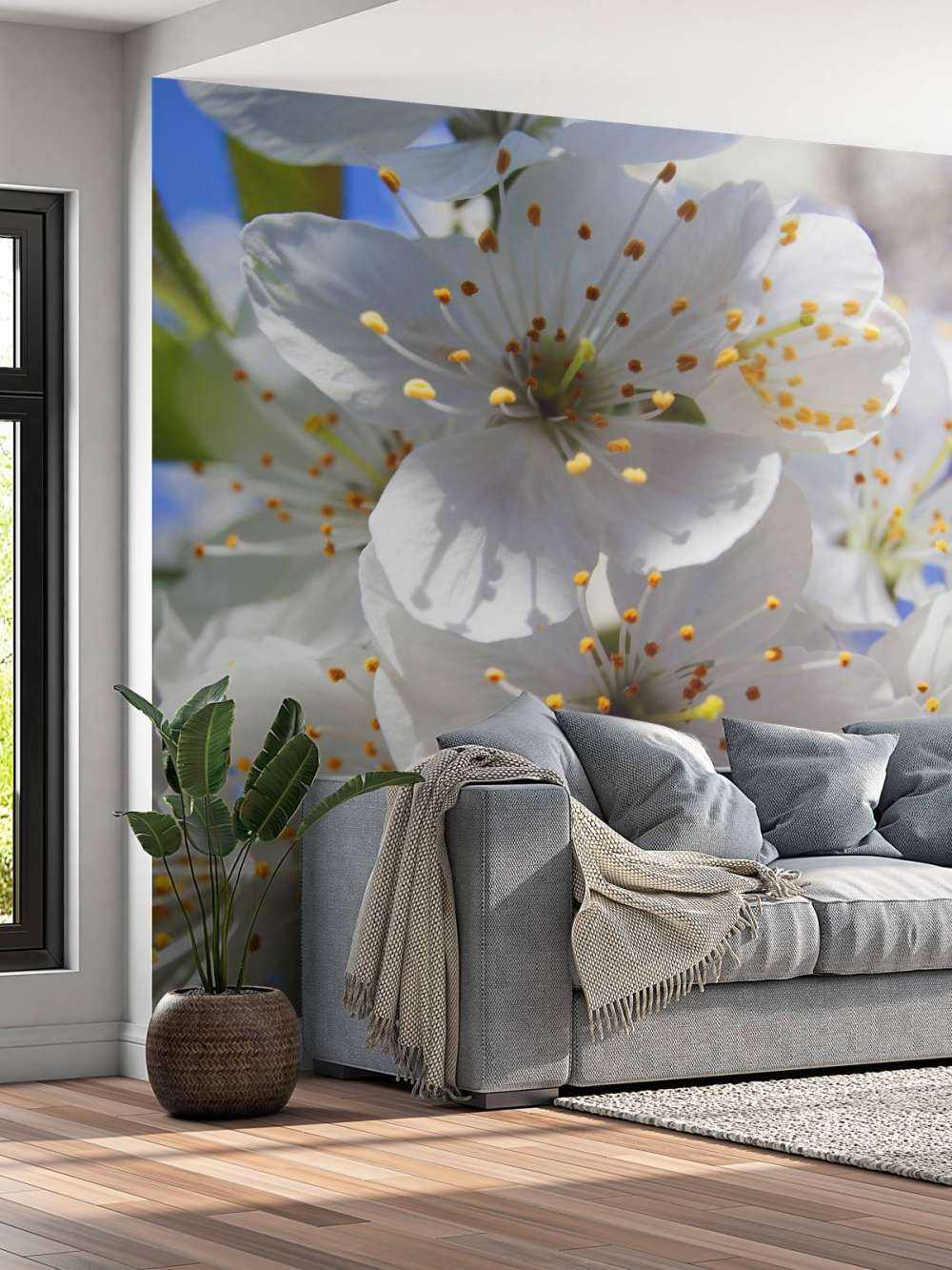 Nærbillede af hvide blomster