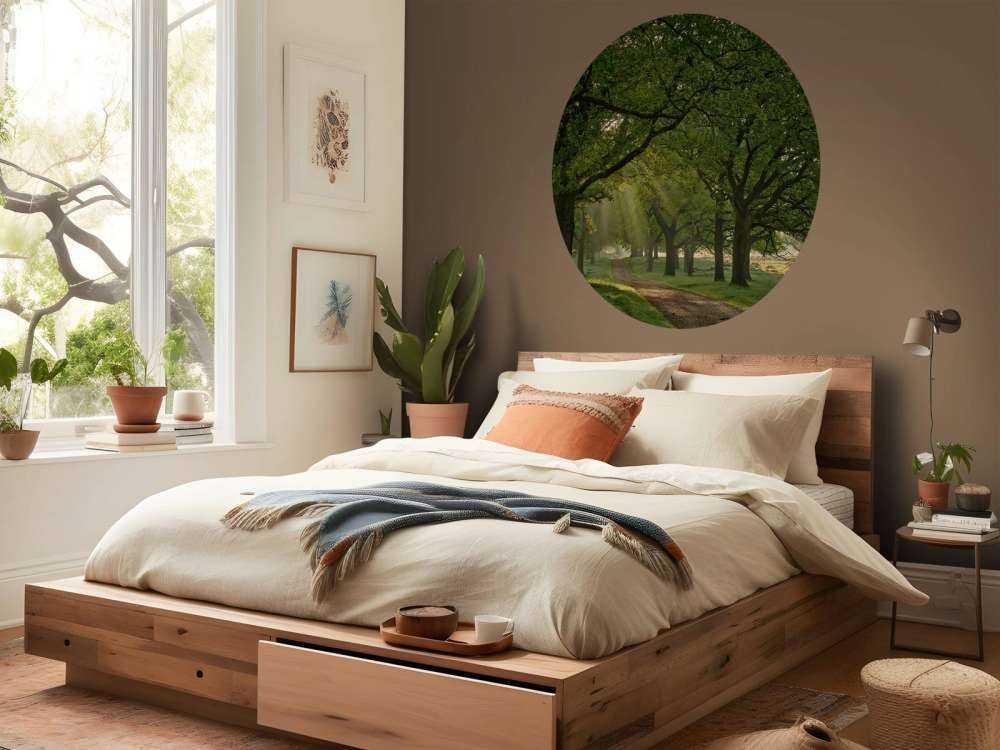 Sti mellem egetræer