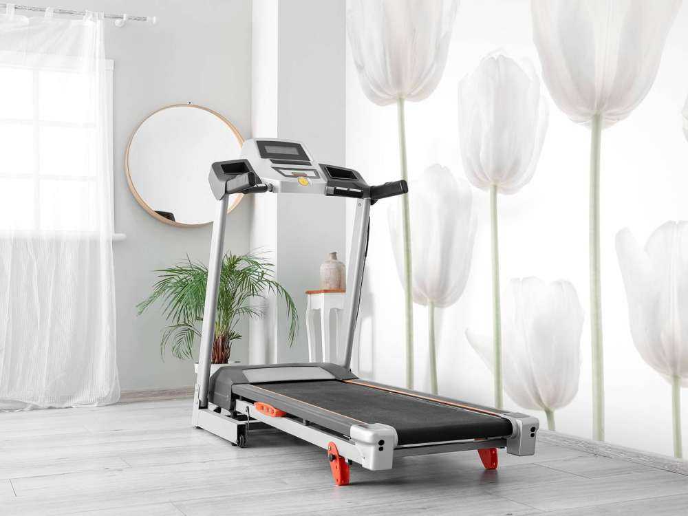Hvide tulipaner