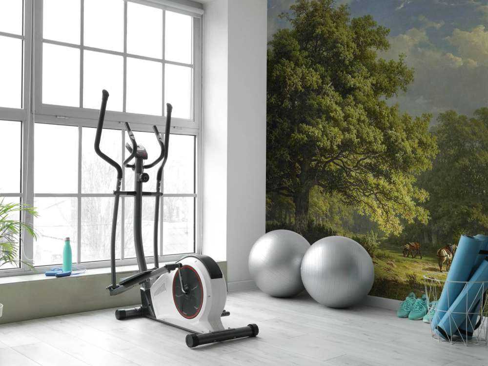 Udsigt over Bentheim skoven