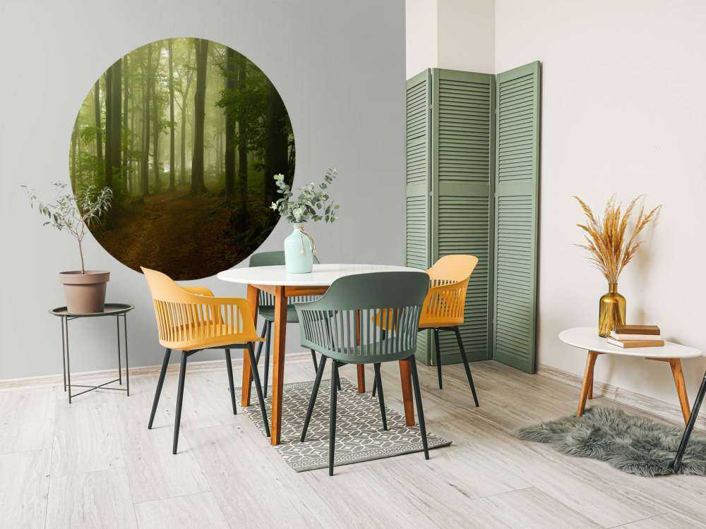 Sti gennem tåget grøn skov