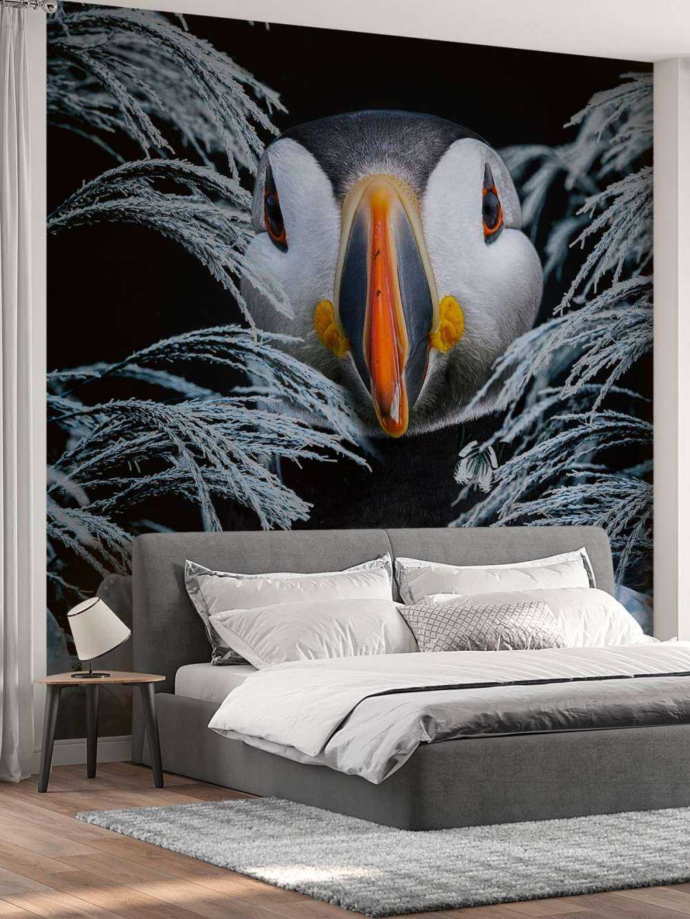 Atlantic Puffins Portræt