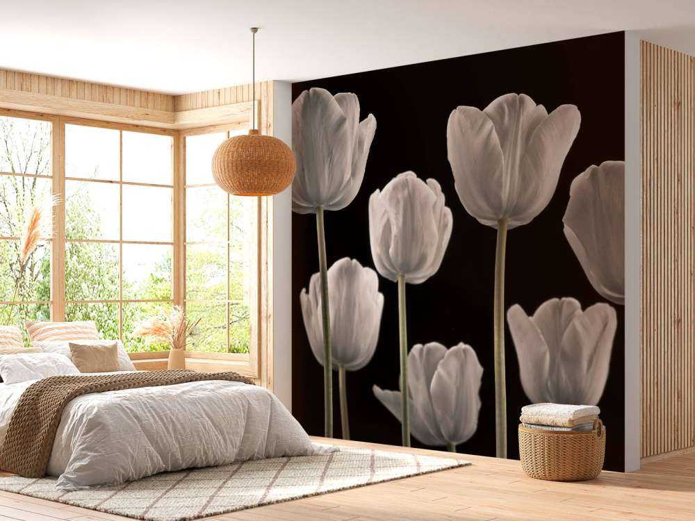 Forskellige tulipaner