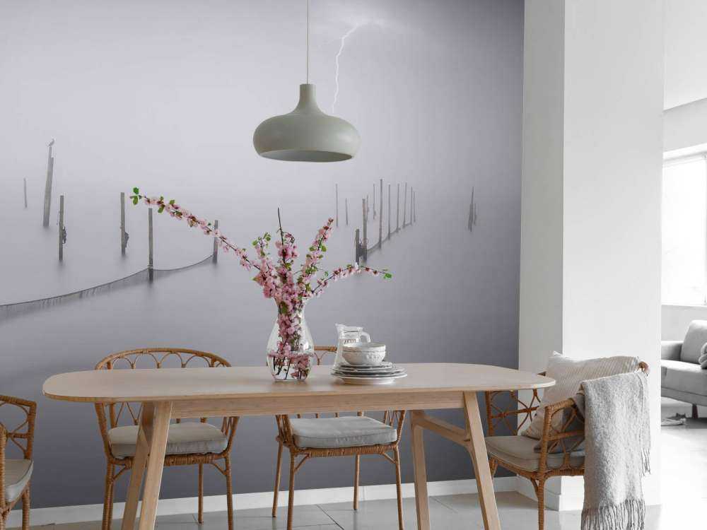 Fiskenet med tåge og tordenvejr