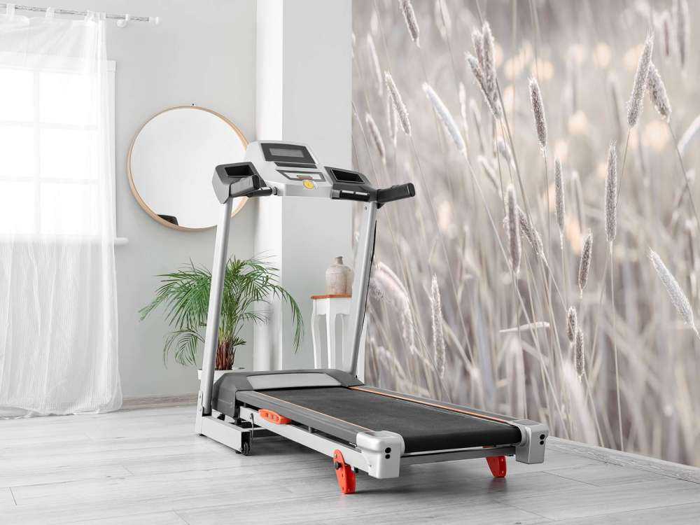 Nærbillede af engen