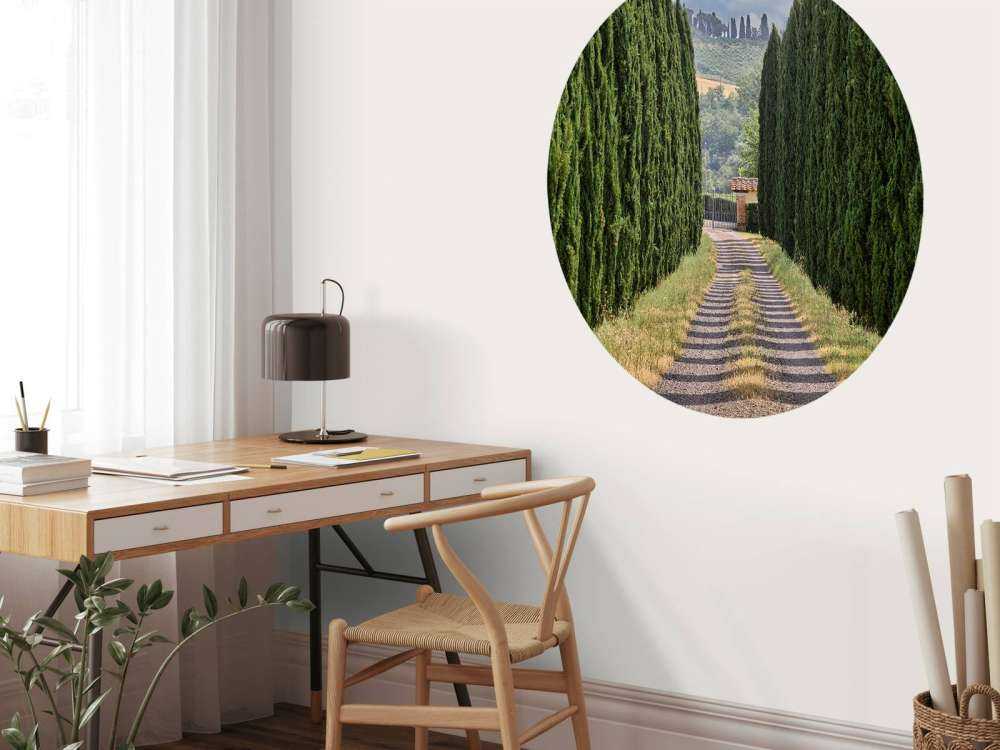 Avenue med cypresser