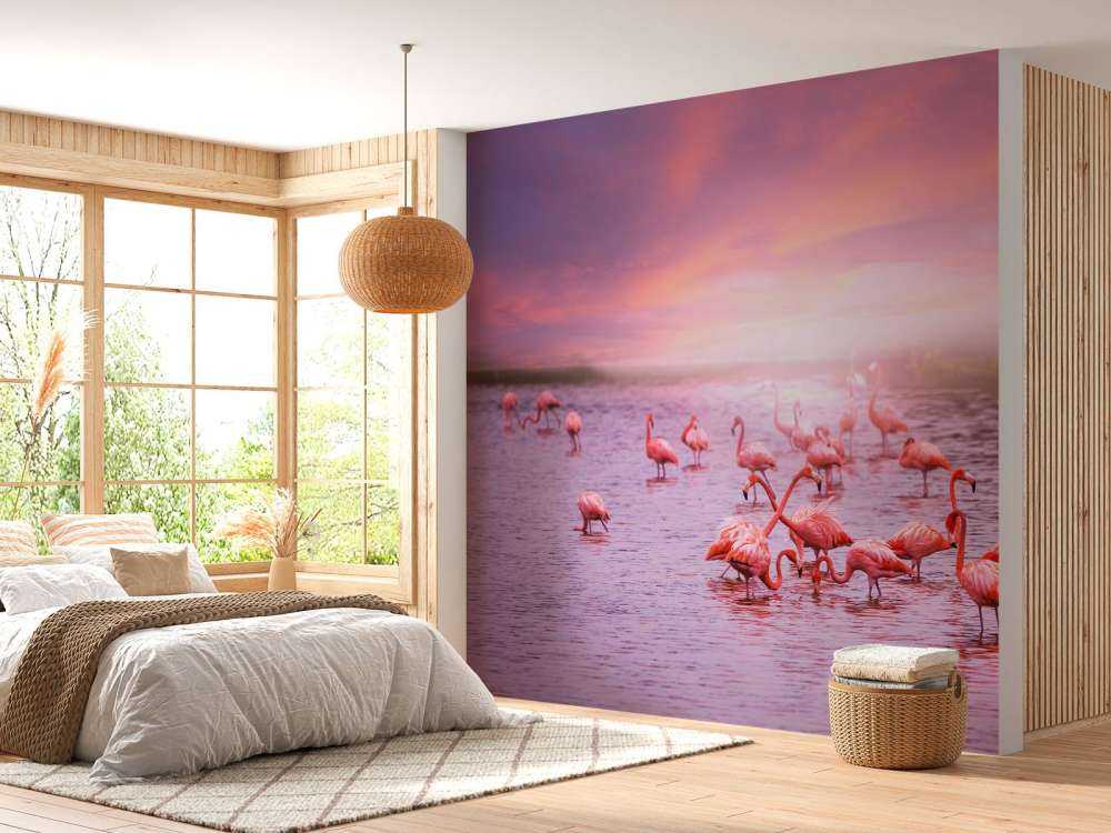 Flamingoer med solnedgang