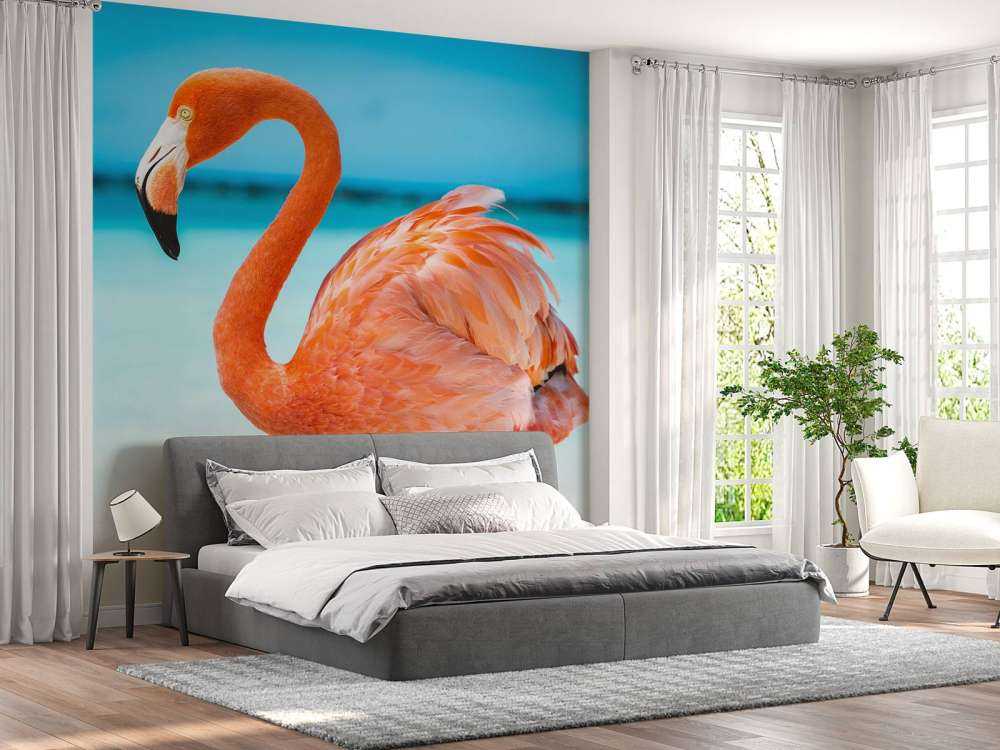 Tropisk flamingo