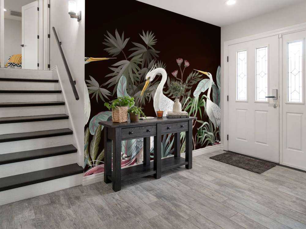 Sierlijke kraanvogels