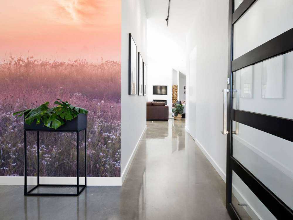 Mark med morgentåge