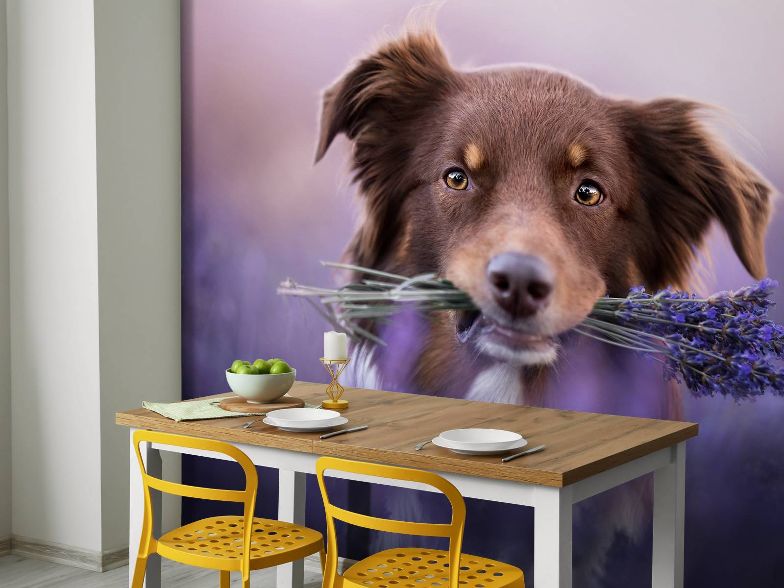 Hund med lavendel