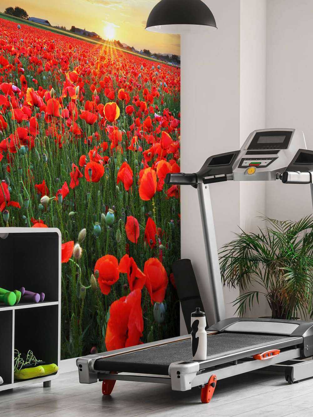 Valmuer ved solnedgang