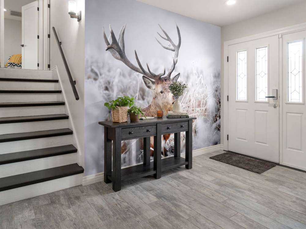 Kronhjortens vinterdrøm