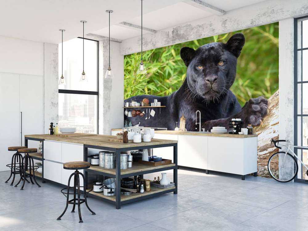 Sort panter på et træ